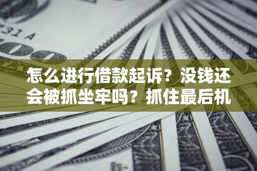 北京怎么进行借款起诉？没钱还会被抓坐牢吗？抓住最后机会！