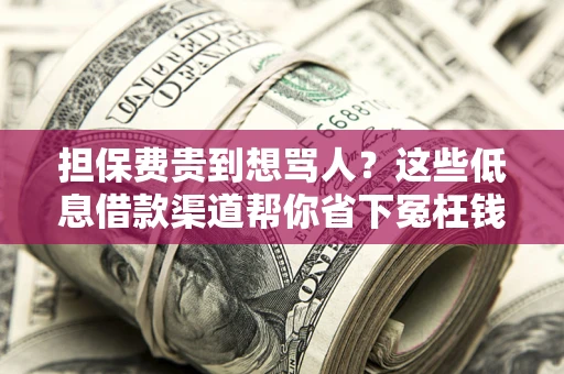 北京担保费贵到想骂人？这些低息借款渠道帮你省下冤枉钱