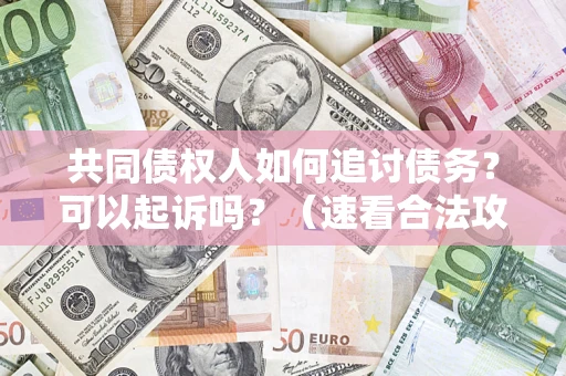 北京共同债权人如何追讨债务？可以起诉吗？（速看合法攻略）